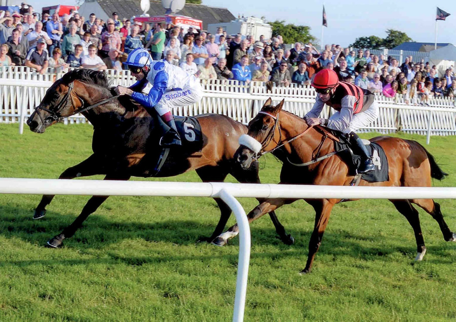Dark Passion Bellewstown 1st July
